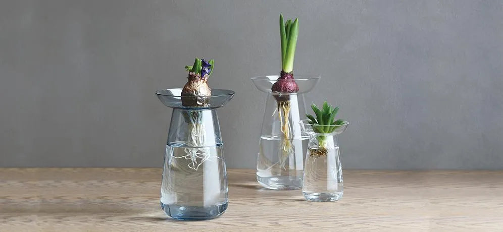 AQUA CULTURE VASE 120mm / 5in