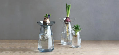 AQUA CULTURE VASE 120mm / 5in